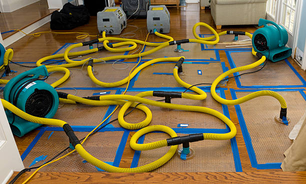 Professional Crawl Space Water Removal technician working in Walkerville, MI